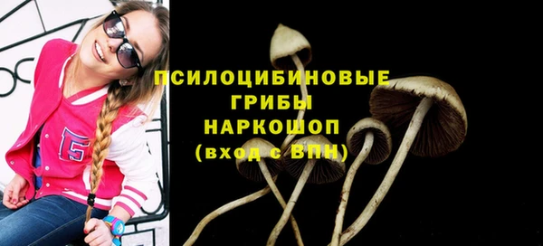 прущие грибы Нефтегорск
