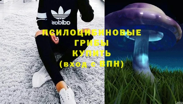 ешки Новодвинск