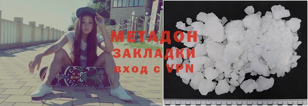 ГАЛЛЮЦИНОГЕННЫЕ ГРИБЫ Дмитриев
