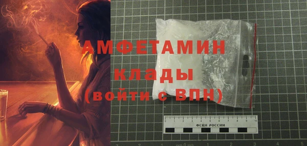 ешки Новодвинск