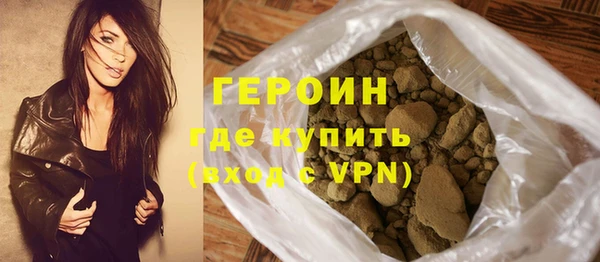 ГАЛЛЮЦИНОГЕННЫЕ ГРИБЫ Дмитриев