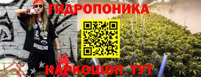 хмурый Дубна
