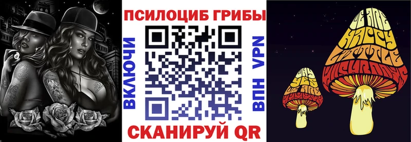 Псилоцибиновые грибы Psilocybine cubensis  Кимовск 