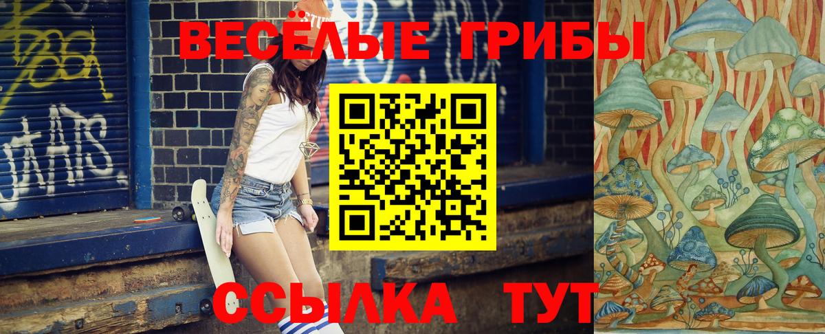 Псилоцибиновые грибы Cubensis Кимовск